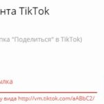 Как пользоваться tiktok-free.com
